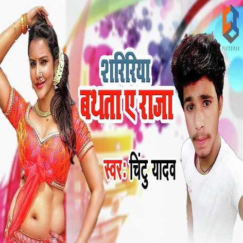 Chintu Yadav Songs MP3 Download